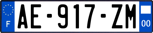 AE-917-ZM