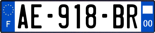 AE-918-BR