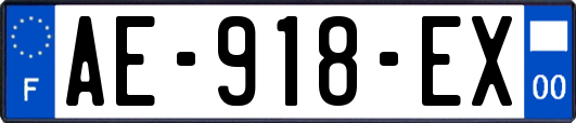 AE-918-EX