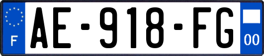 AE-918-FG