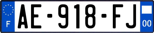 AE-918-FJ