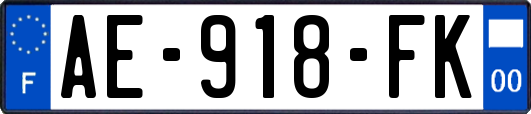 AE-918-FK