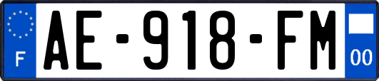 AE-918-FM