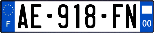 AE-918-FN