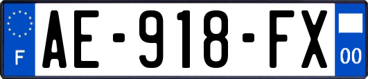 AE-918-FX