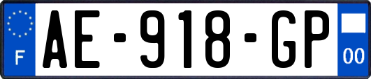 AE-918-GP