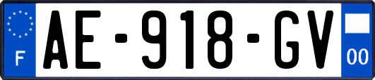 AE-918-GV