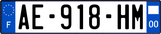 AE-918-HM