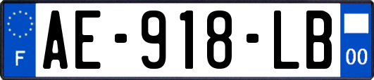 AE-918-LB