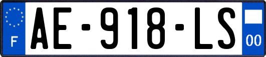 AE-918-LS