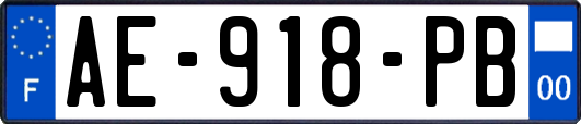 AE-918-PB