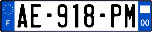 AE-918-PM