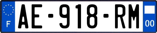 AE-918-RM