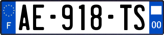 AE-918-TS