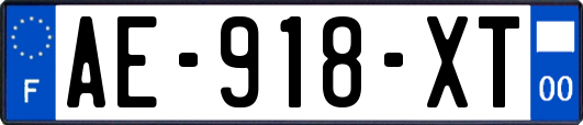 AE-918-XT