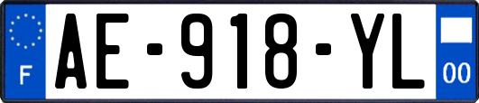 AE-918-YL