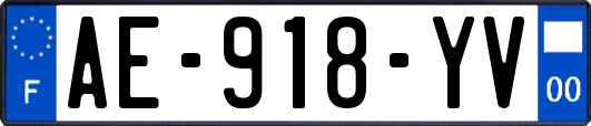 AE-918-YV