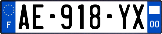 AE-918-YX
