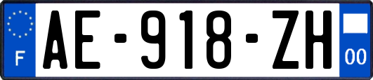 AE-918-ZH