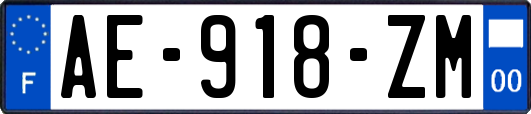 AE-918-ZM