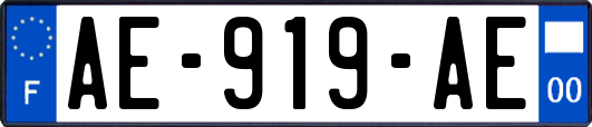 AE-919-AE