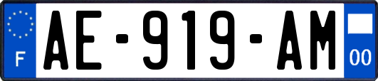 AE-919-AM