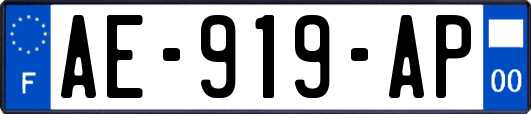 AE-919-AP