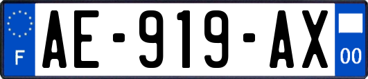 AE-919-AX