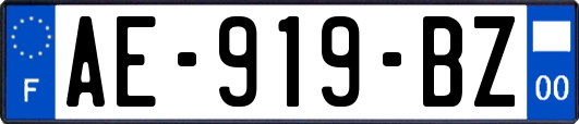 AE-919-BZ