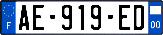 AE-919-ED