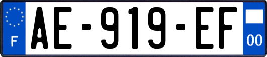 AE-919-EF