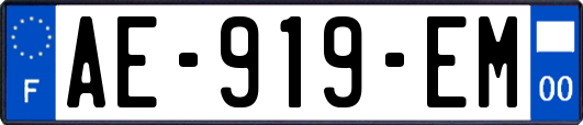 AE-919-EM