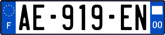 AE-919-EN