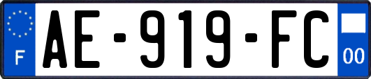 AE-919-FC