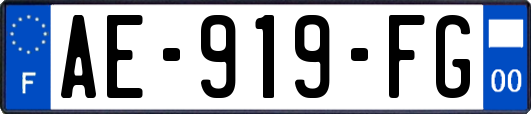 AE-919-FG