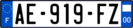 AE-919-FZ