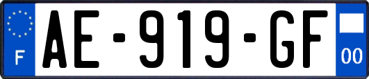 AE-919-GF