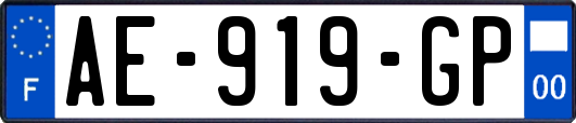 AE-919-GP