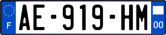 AE-919-HM