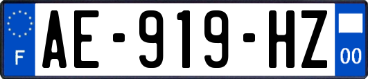 AE-919-HZ