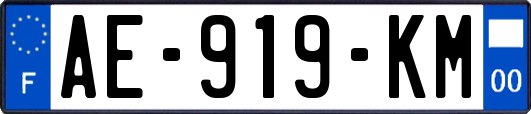 AE-919-KM