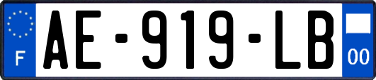 AE-919-LB
