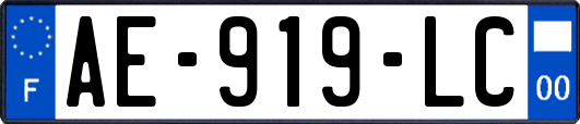 AE-919-LC