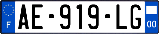 AE-919-LG