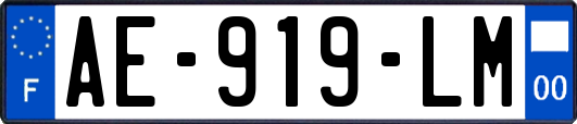 AE-919-LM