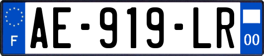 AE-919-LR