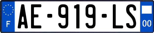 AE-919-LS