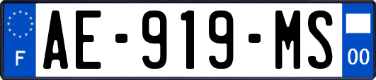 AE-919-MS