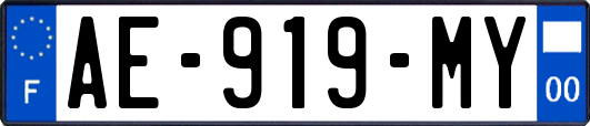 AE-919-MY