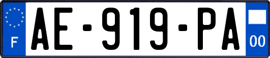 AE-919-PA